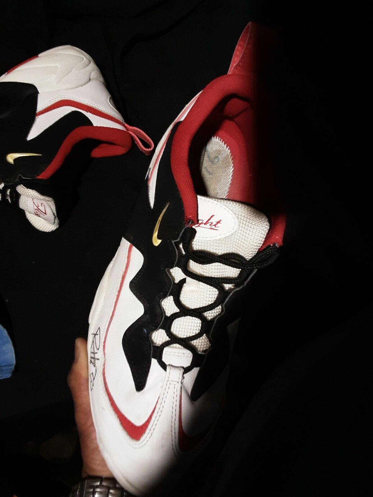 Ron Harper’s Nike Air Lambaste