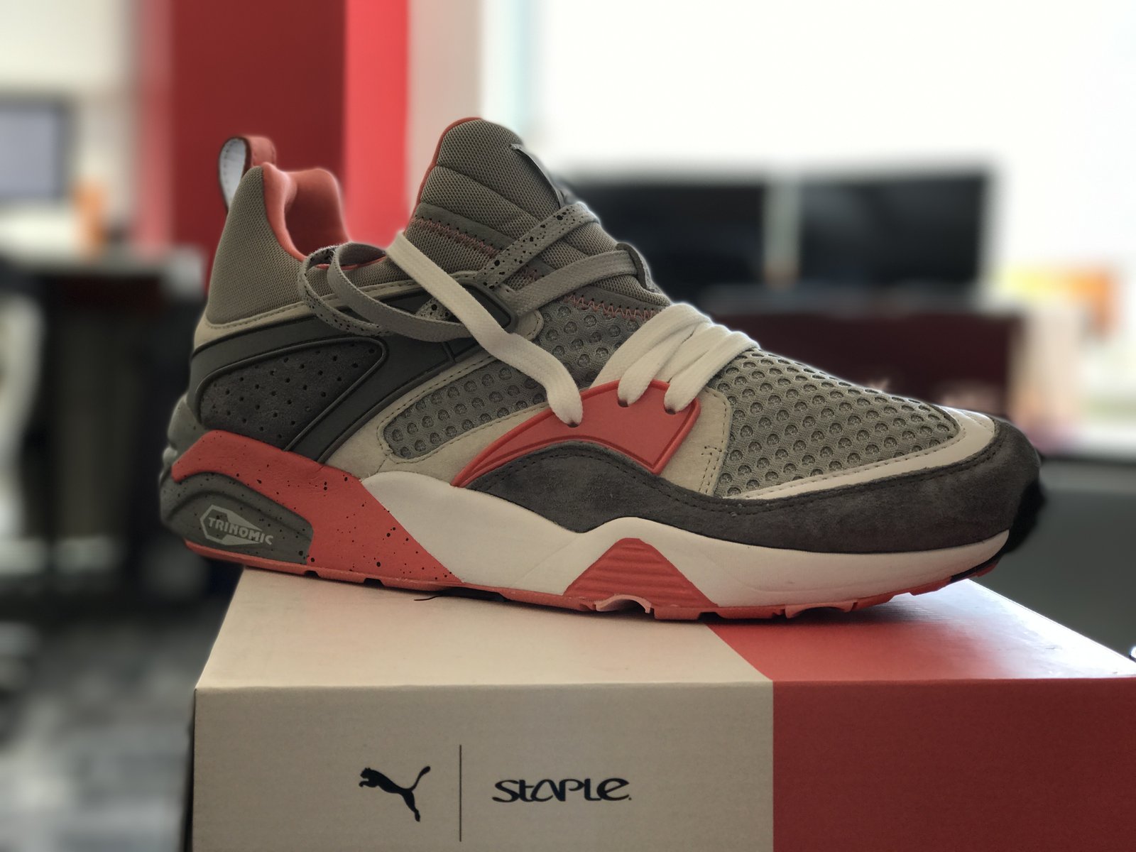 PUMA x Staple Blaze of Glory Trinomic