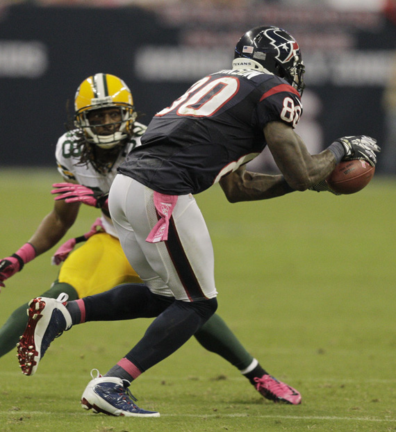 Andre Johnson Jordan IX