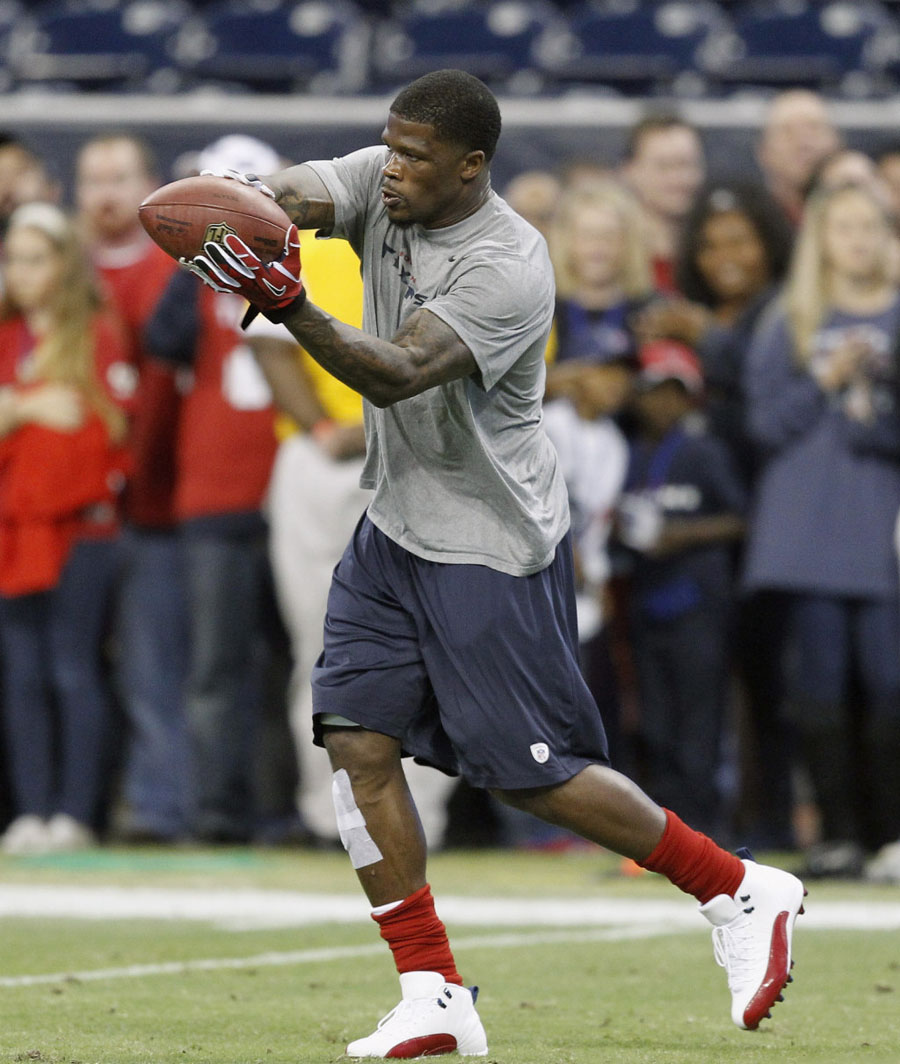 Andre Johnson Jordan XII