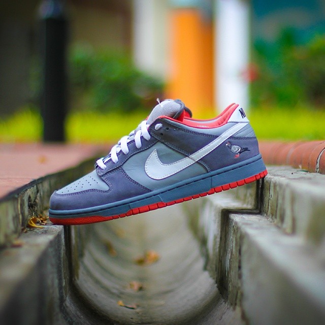 Nike SB Dunk Low Pro "Pigeon"
