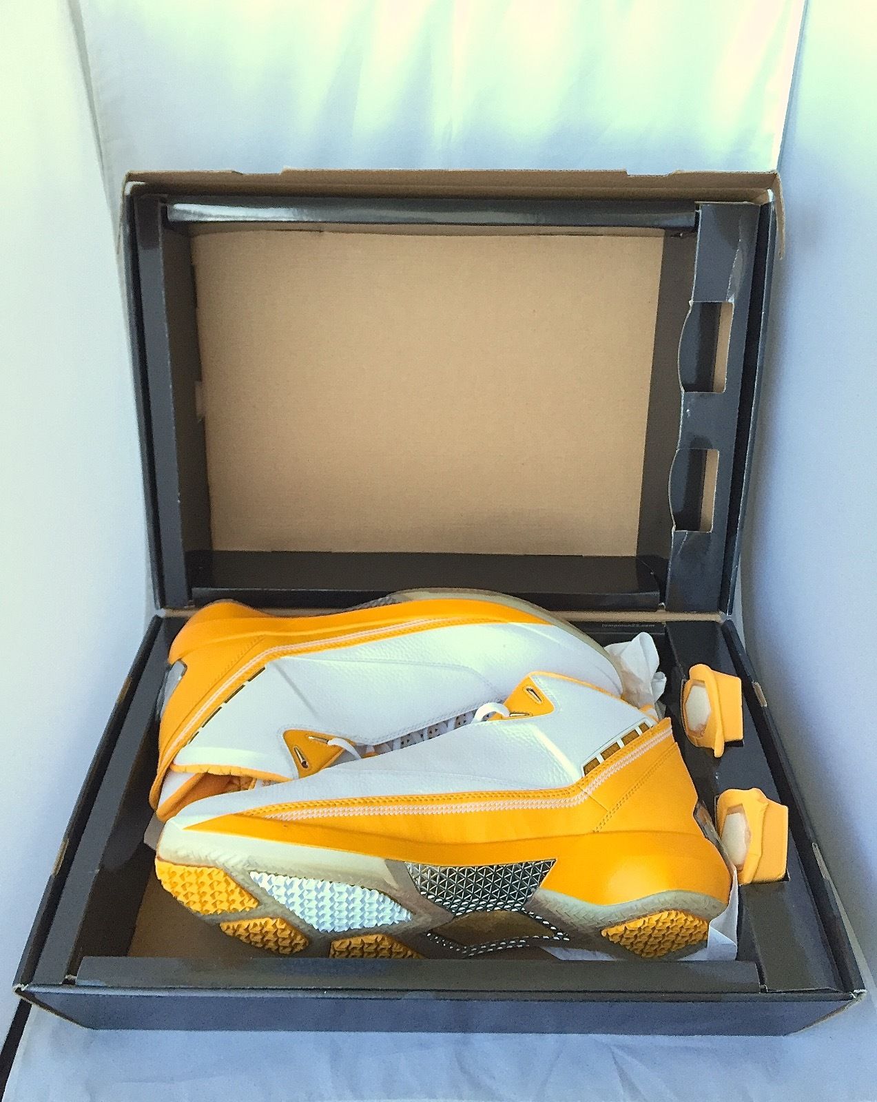Ray Allen Air Jordan XX2 PE