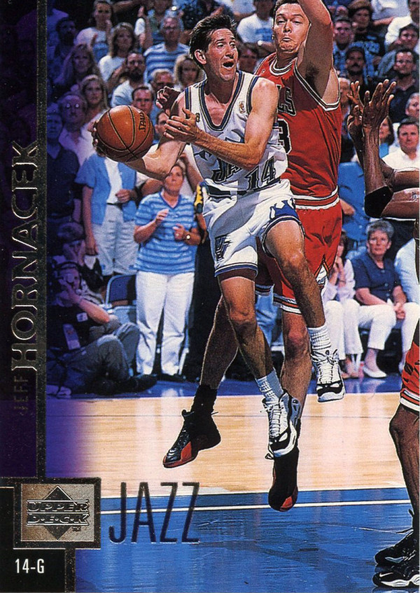 luc longley air jordan XII