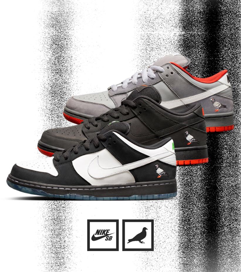 Pigeon Dunk – Part III